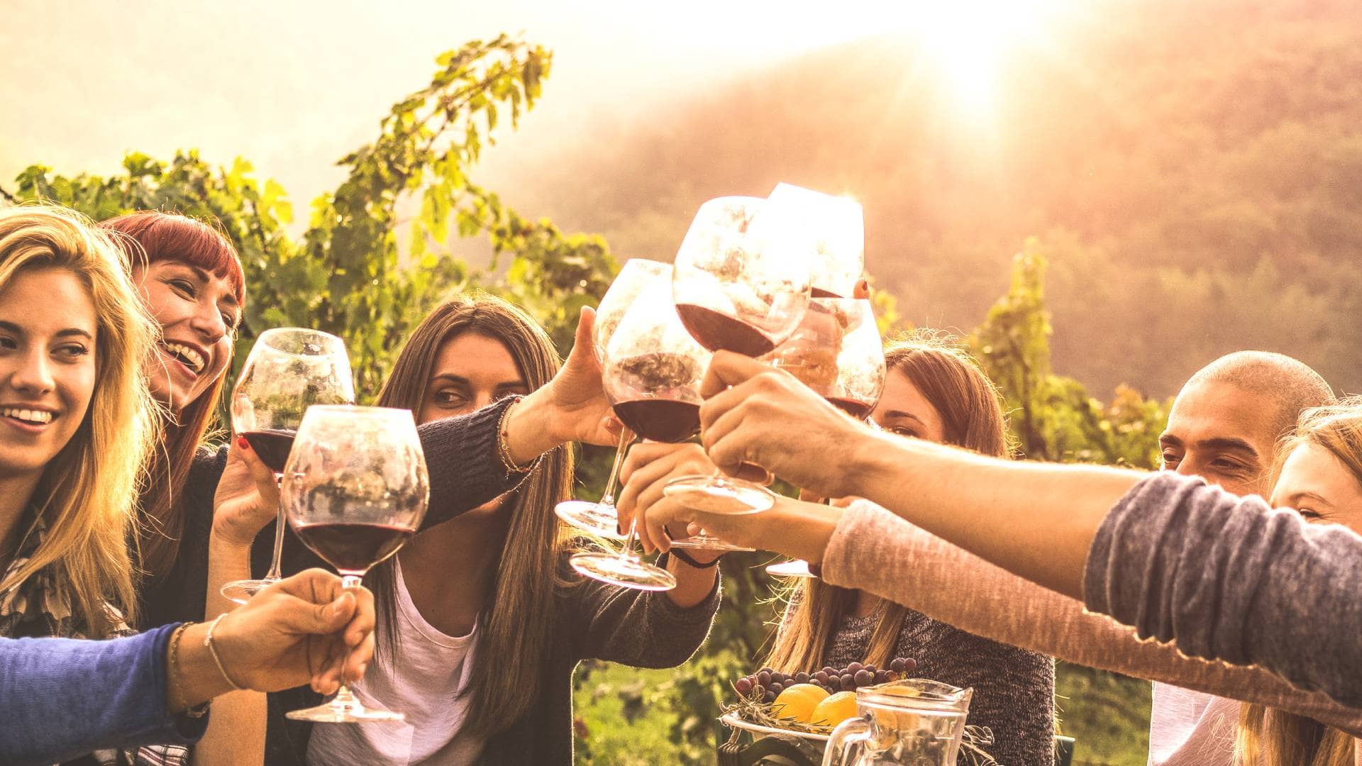 Group of people toasting wine glasses