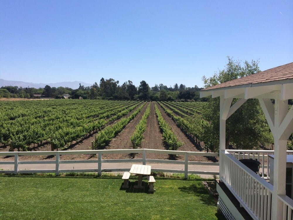 Best October Tours in Santa Barbara 3 Black Jack Winery Tour