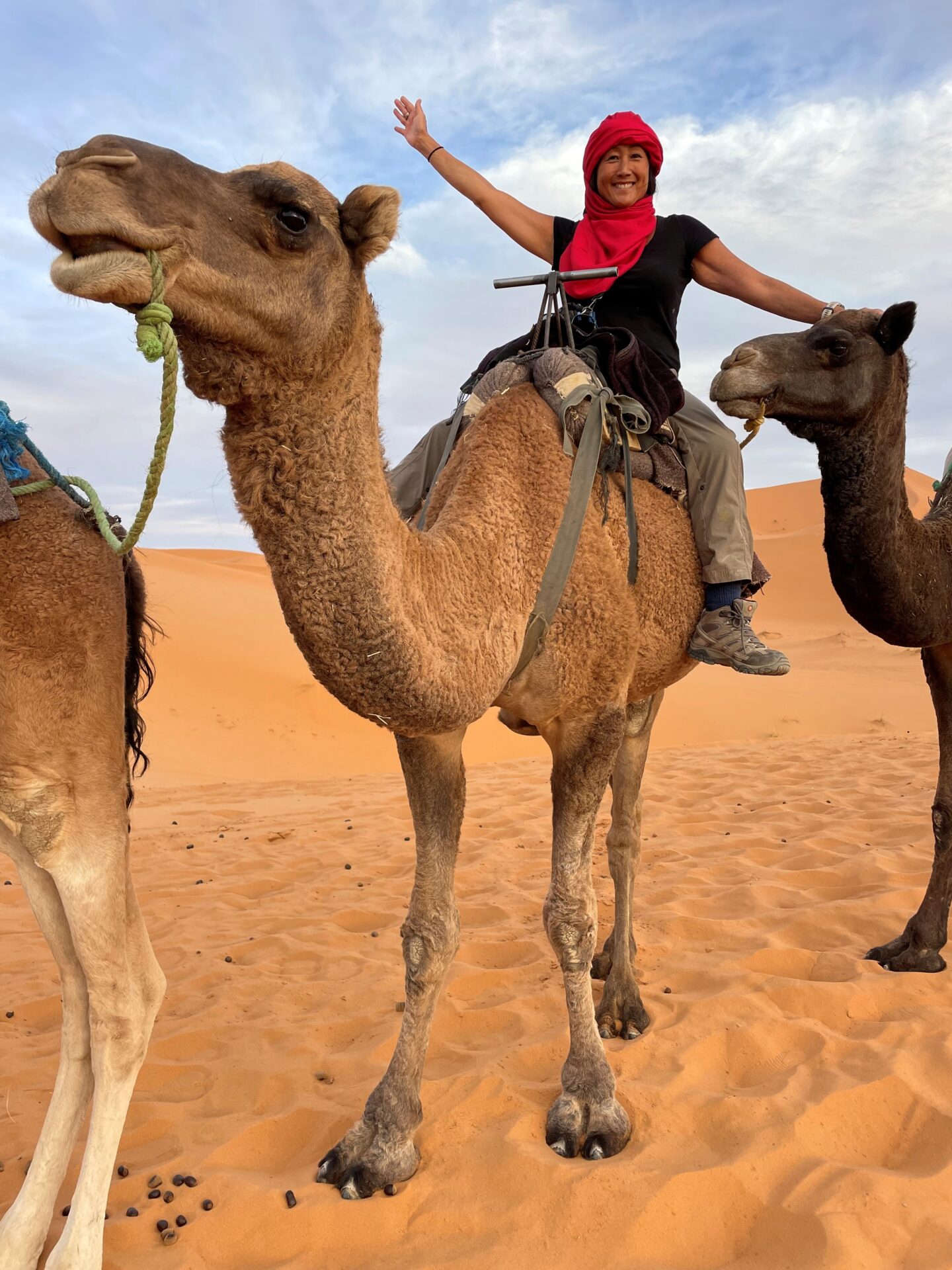 Wendy Nishikawa Employee Profile 2 Wendy Nishikawa on camel