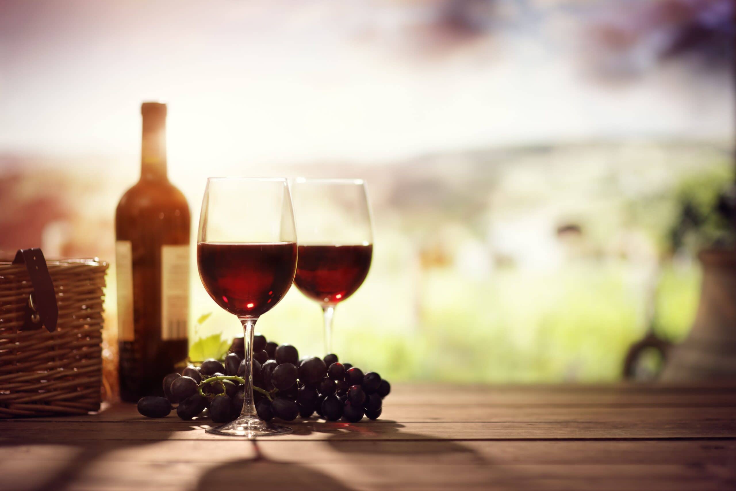 Wine stock photo