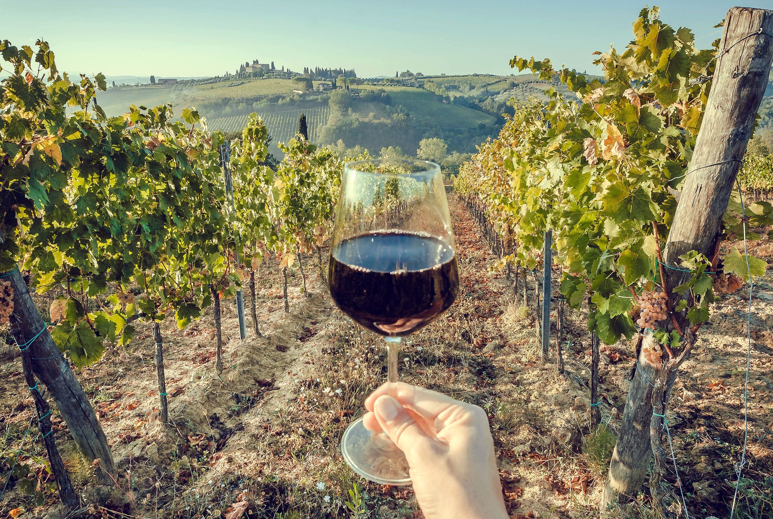 Wine Glass
